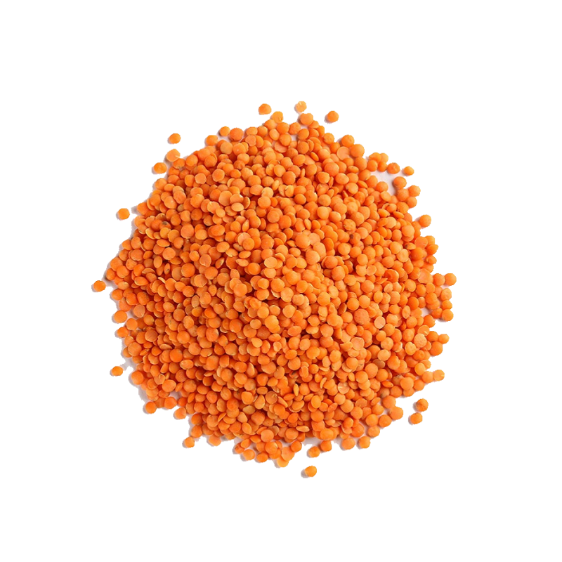 LENTILS